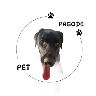 PETPAGODE