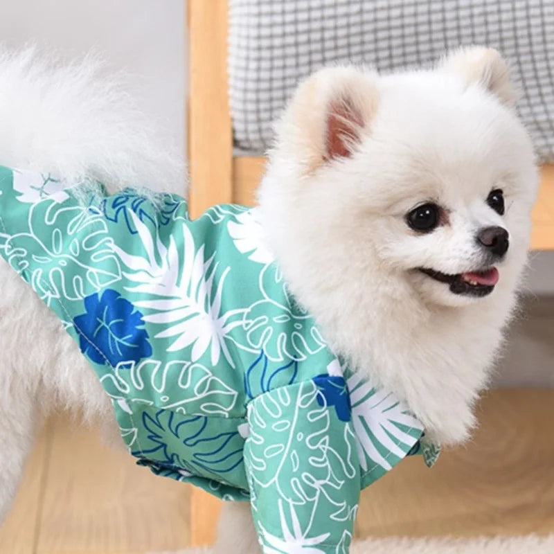 Camisas para cães estilo havaiano