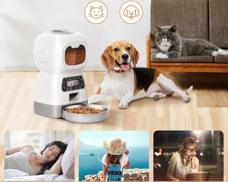 Alimentador automático, programável para pets