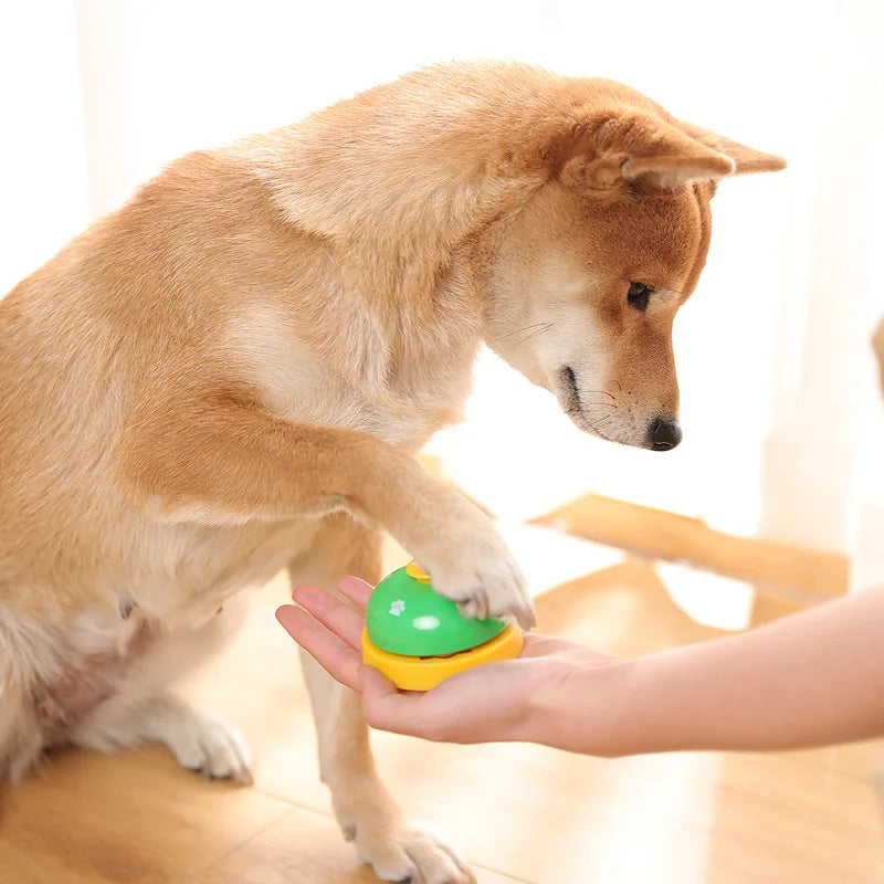 Sino de treinamento interativo para cães e gatos