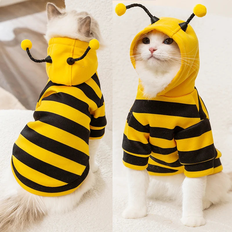 Roupa de abelha para cães e gatos