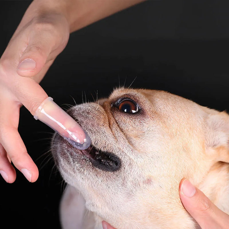 Escova de dentes super macia para animais de estimação