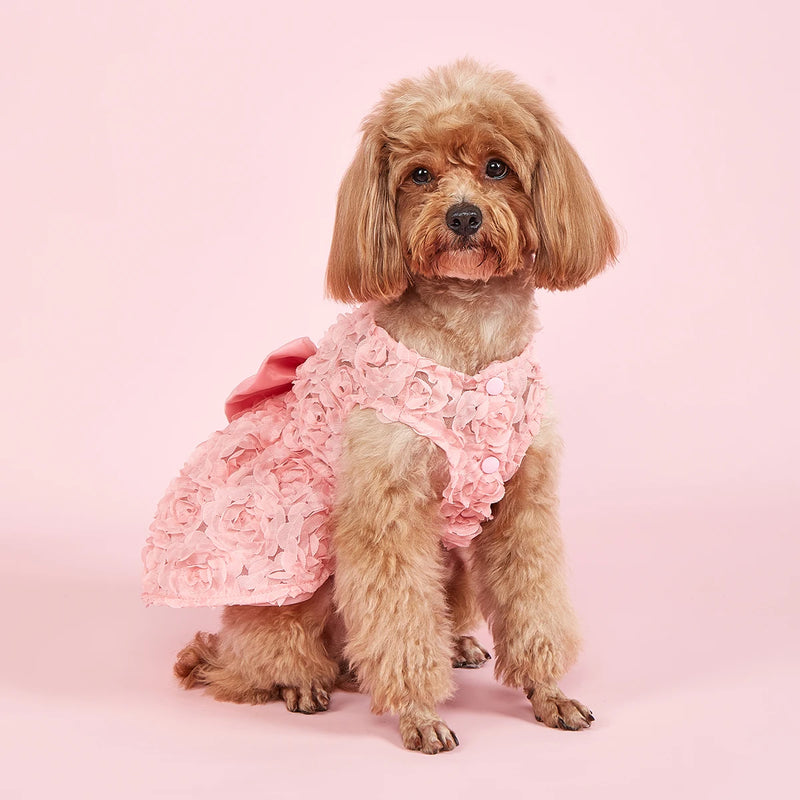 Vestido  com flor bordada para pet